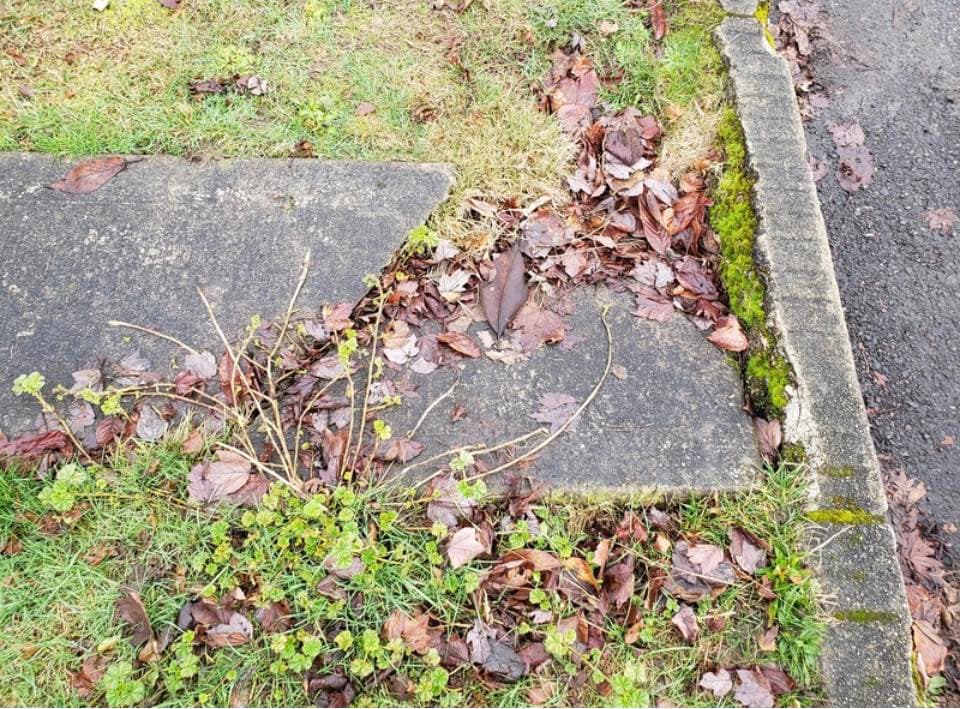 Central Tacoma Sidewalk Repair - Concrete Section Replacement